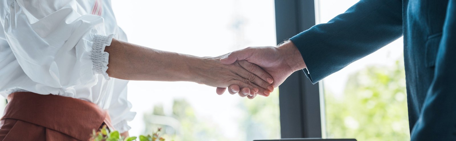 panoramic shot of employee and recruiter shaking hands